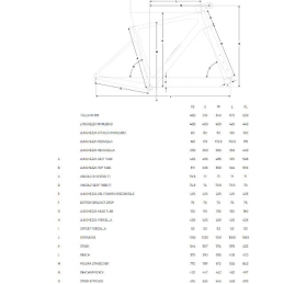 Focus Atlas 8.9  SPACECLOUDS 28 taglia M